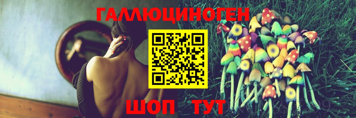 Псилоцибиновые грибы Psilocybine cubensis Волгоград